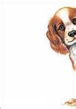 cavalier 16 letterhead 2